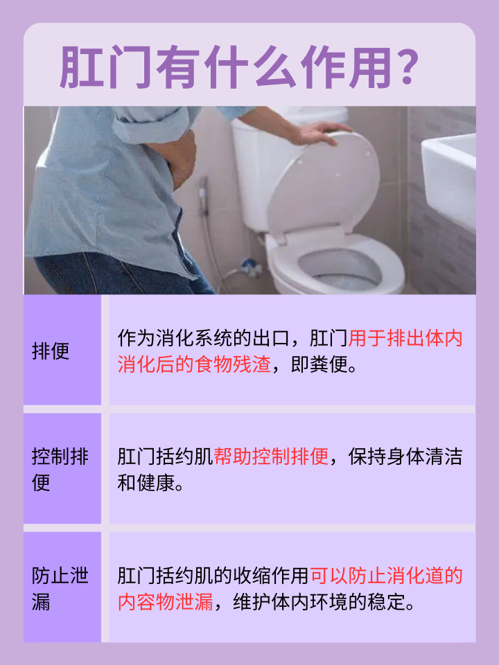 揭秘健康：你的肛门正常长这样吗？