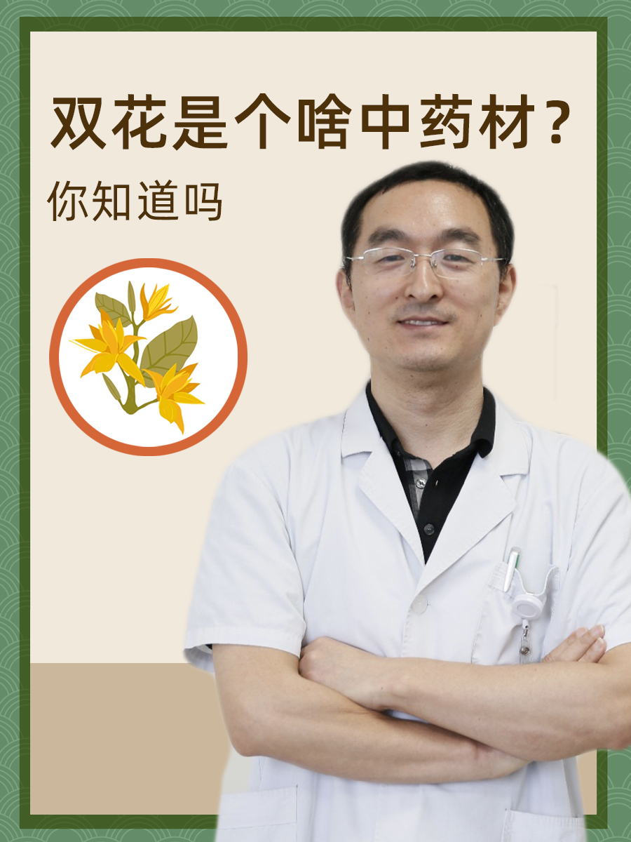 双花是个啥中药材?你知道吗