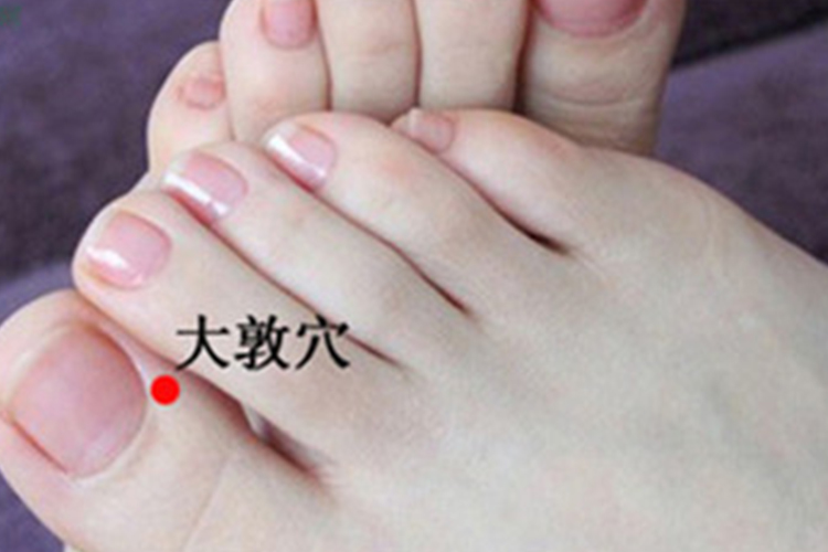 大敦穴位置图