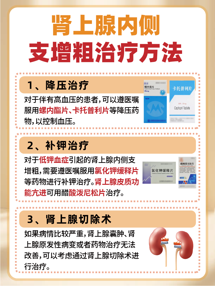 肾上腺小秘密:为何左侧内侧支悄悄变粗了?