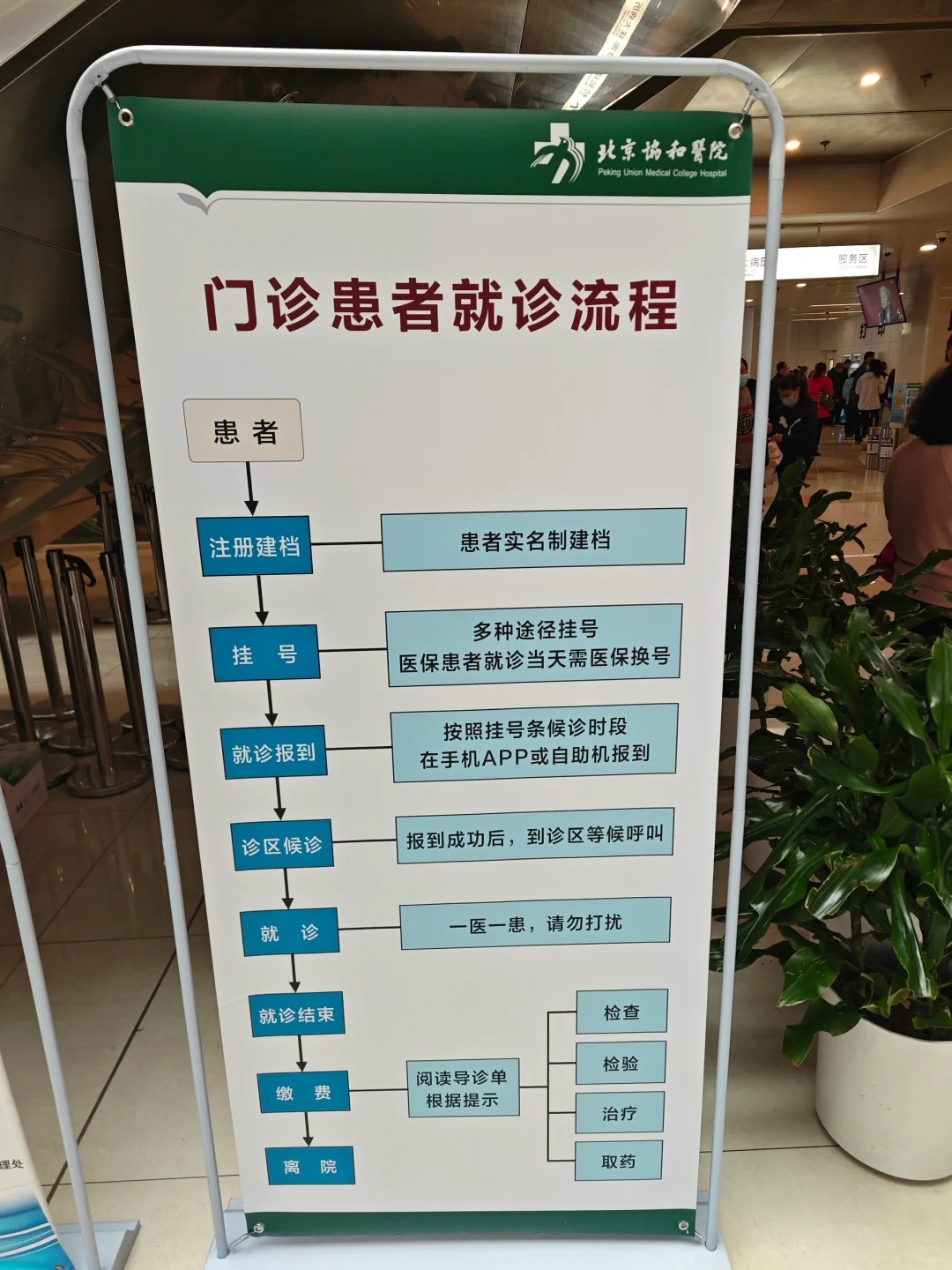 北京协和医院王姝怎么样？怎么挂号？