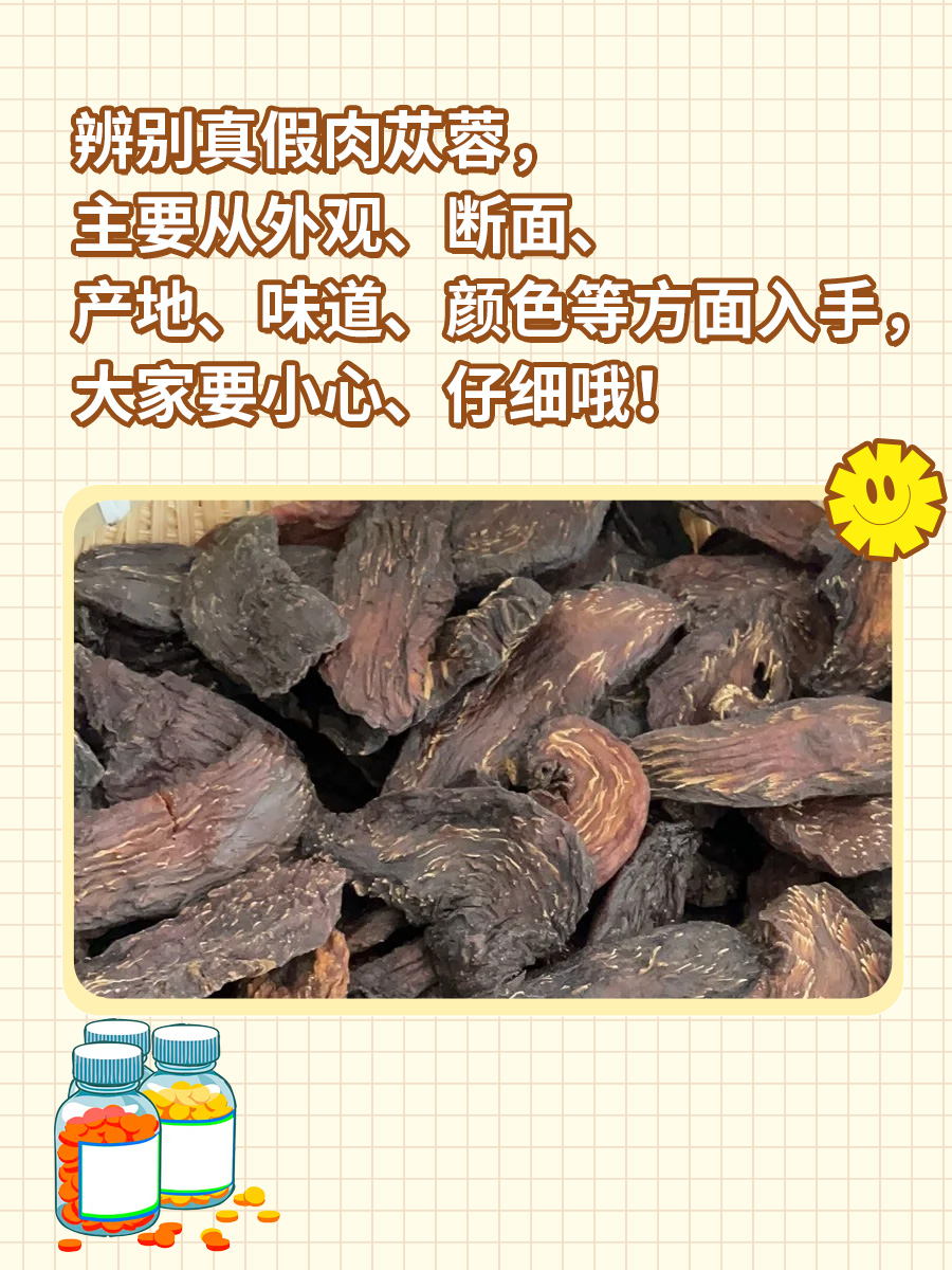 怎么辨别真假肉苁蓉？一文带你了解！