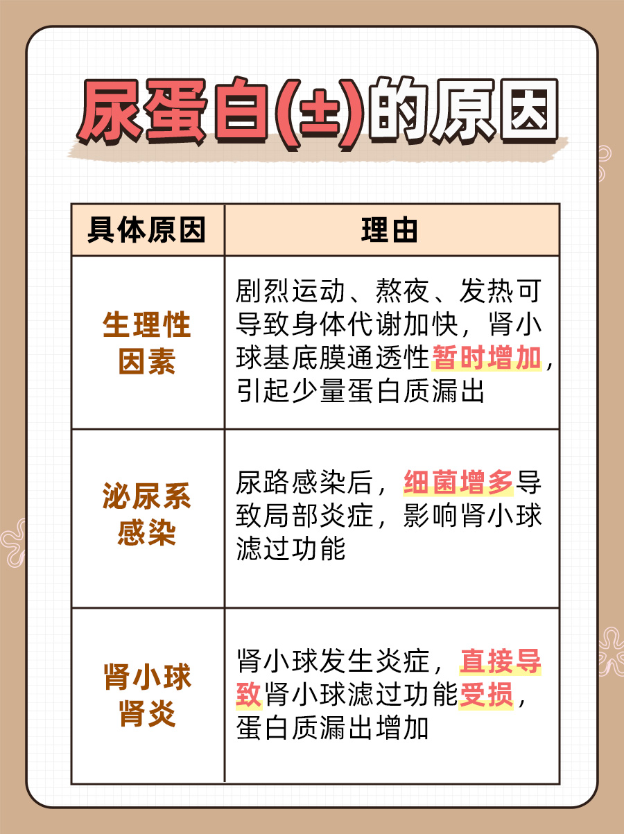 尿蛋白(±)是怎么回事？医生帮你分析！