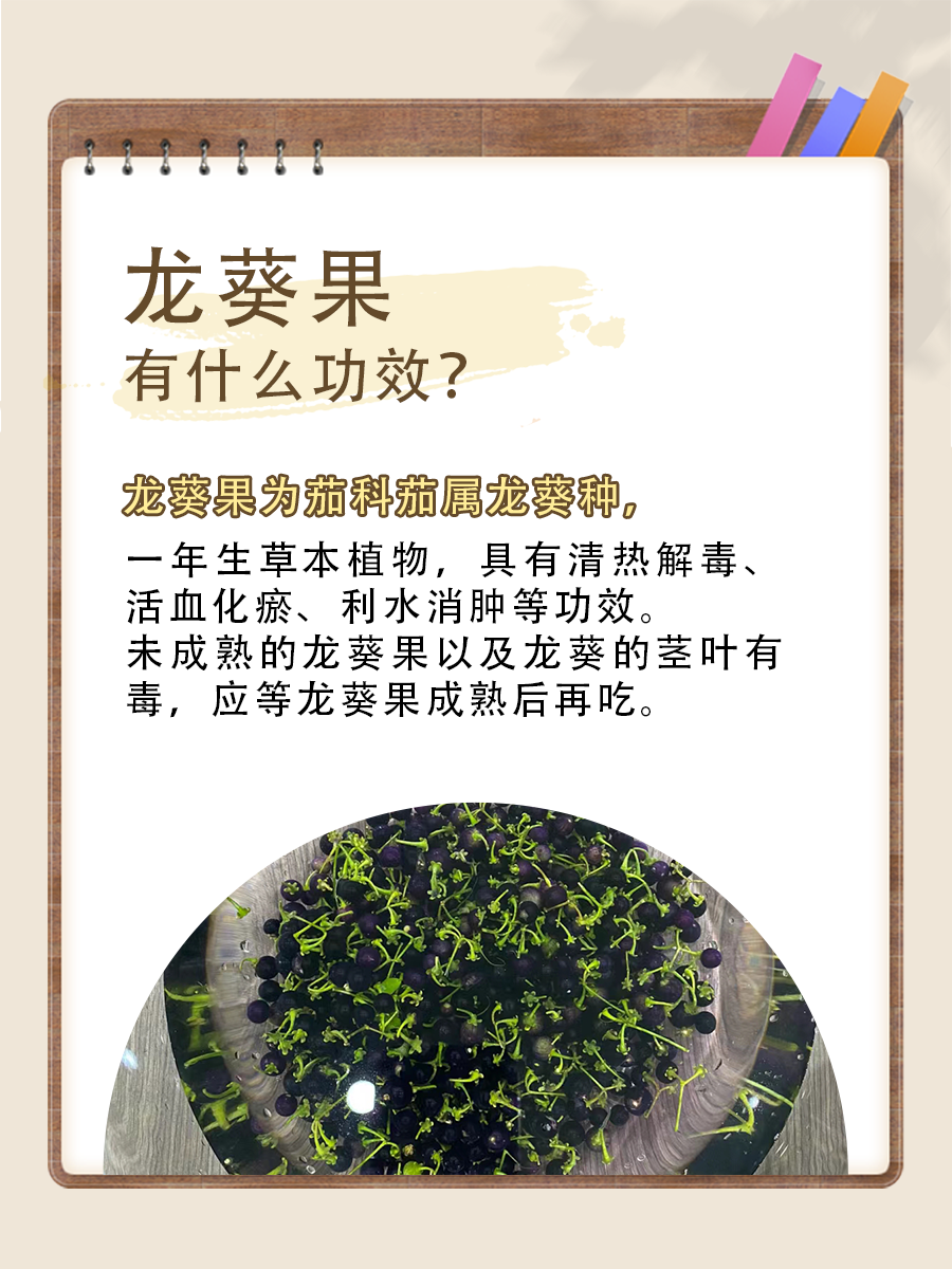 揭秘龙葵果真实效用：一个月吃多少量好