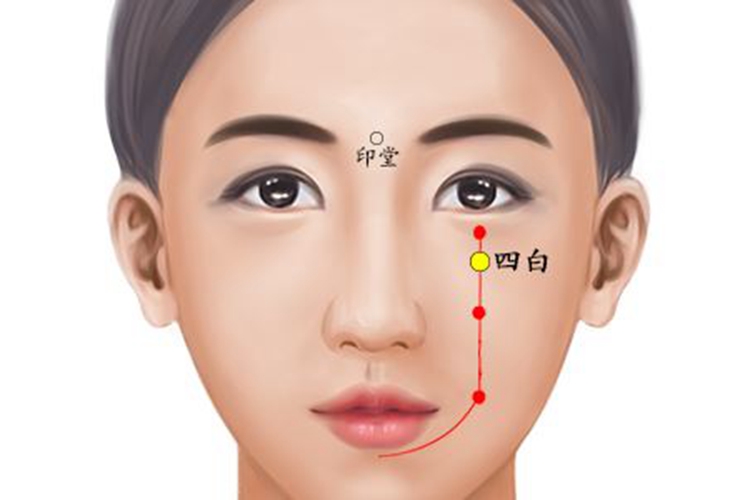 四白穴位置图