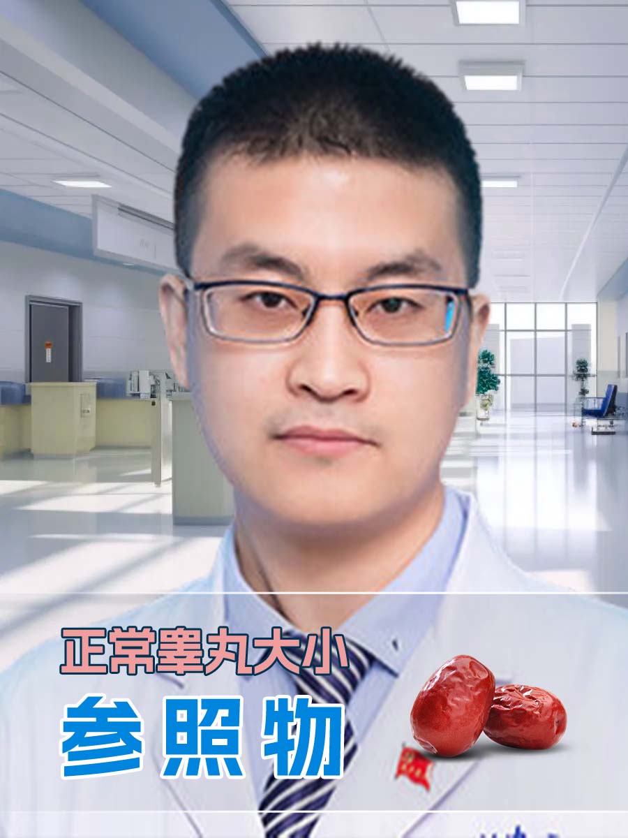 正常睾丸大小参照物