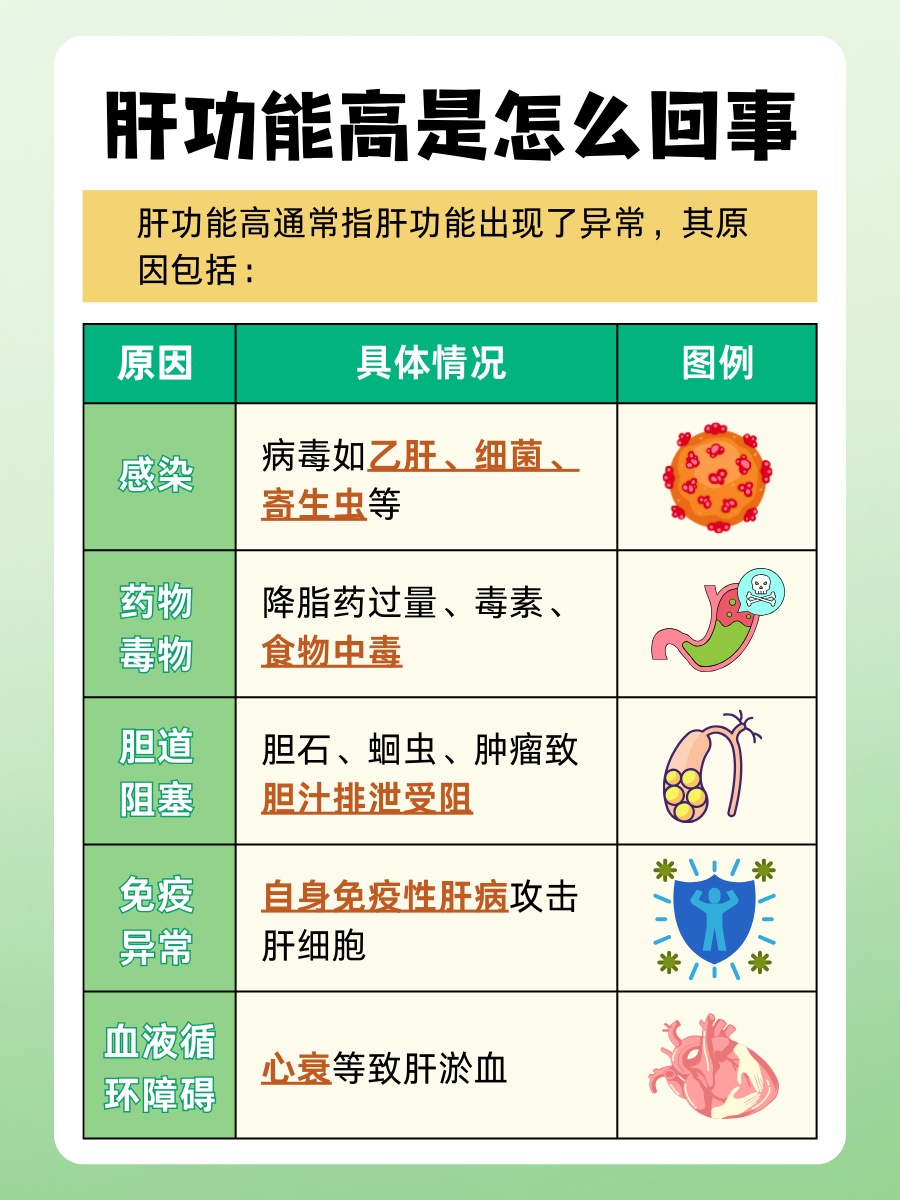 带你了解：肝功能高是怎么回事