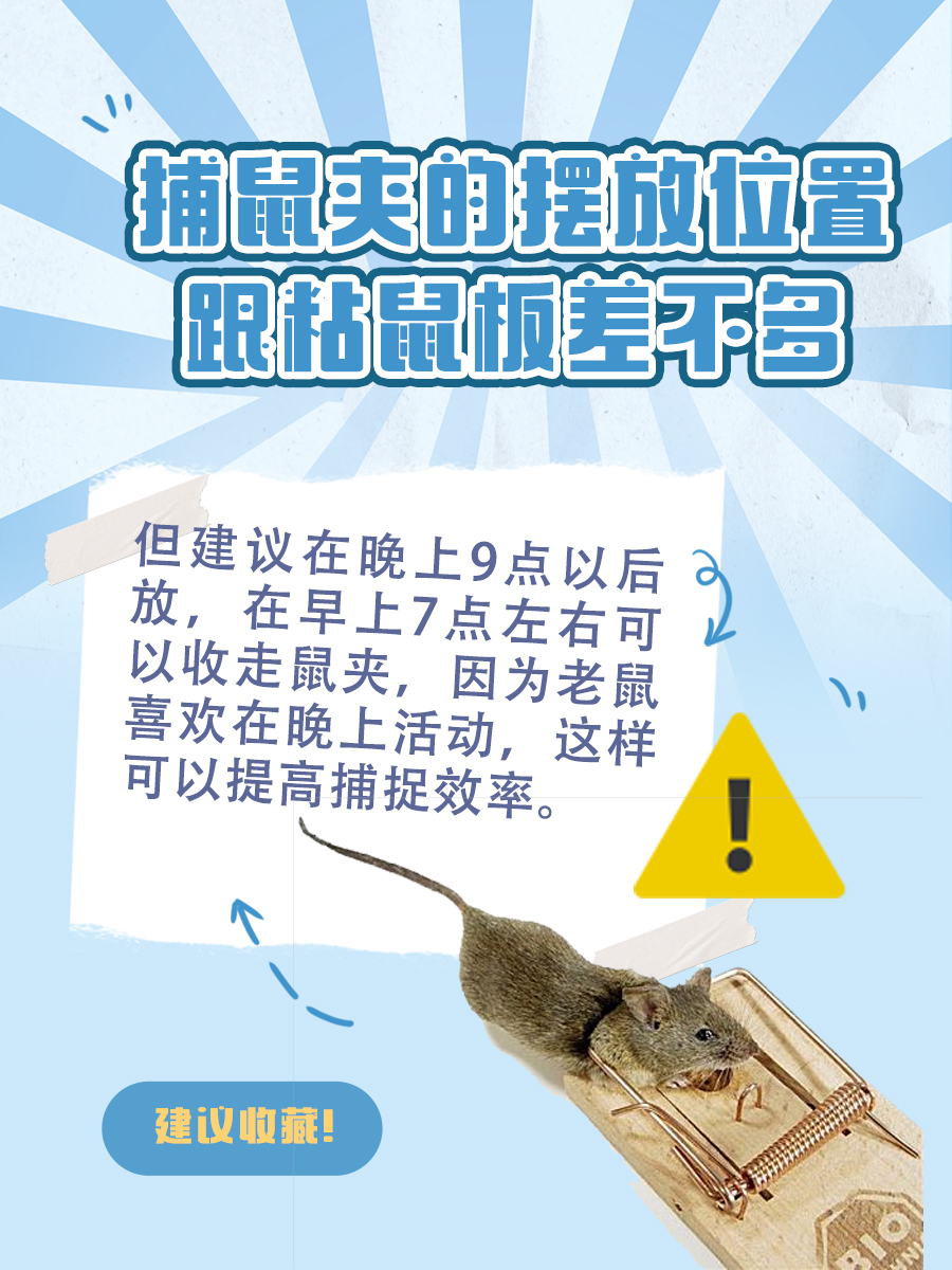 老鼠尿对人体有毒、有害吗？看这篇就够了！