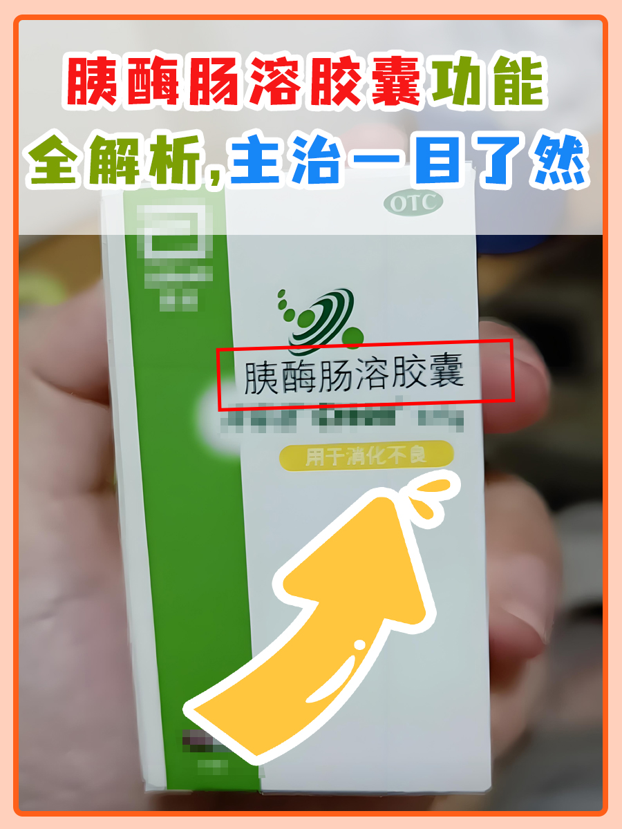 胰酶肠溶胶囊功能全解析,主治一目了然