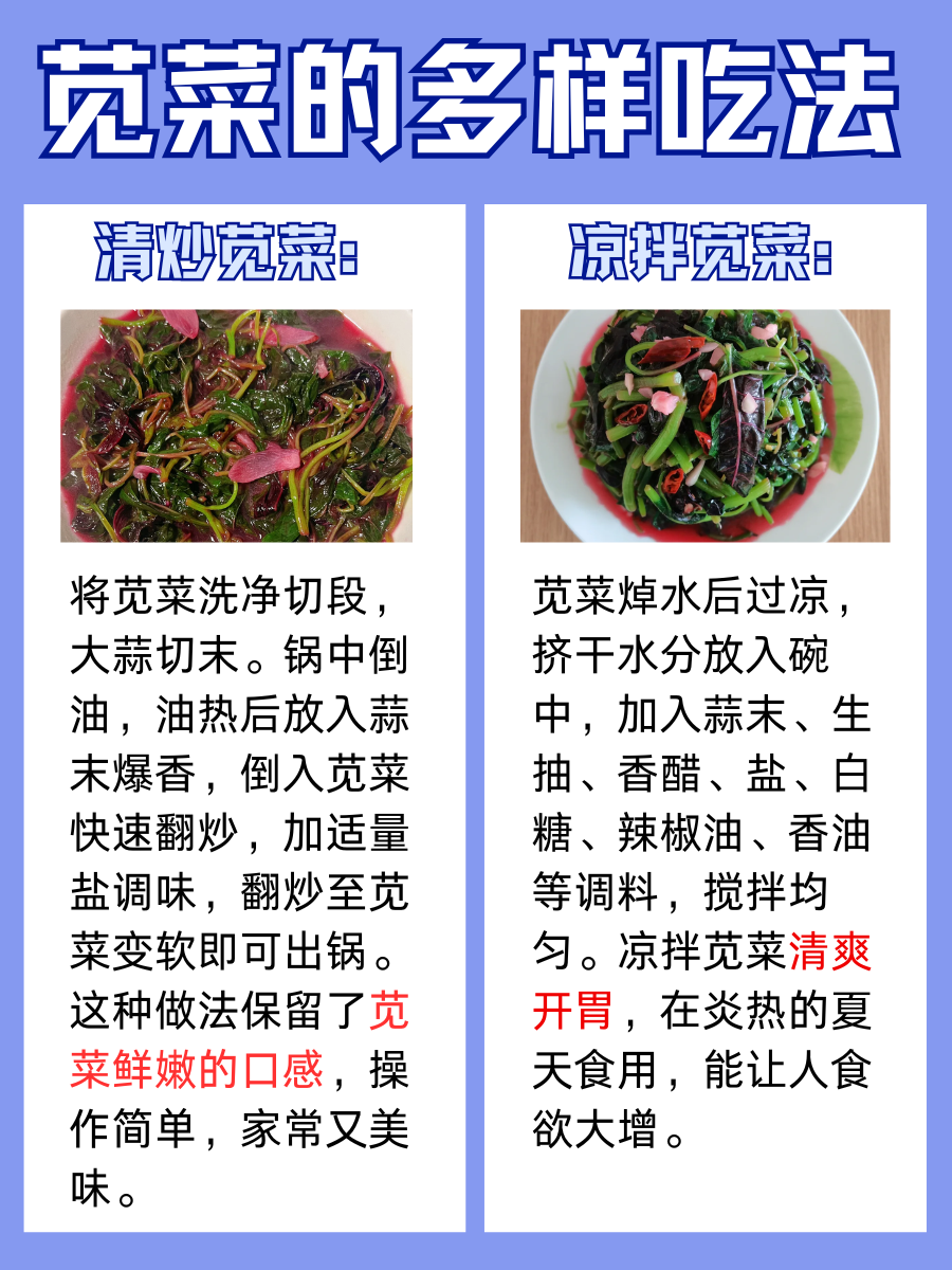 七月苋,金不换—苋菜的功效与作用