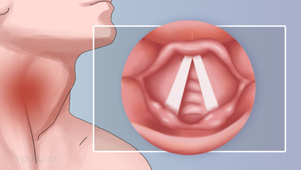 喉的位置、结构及功能