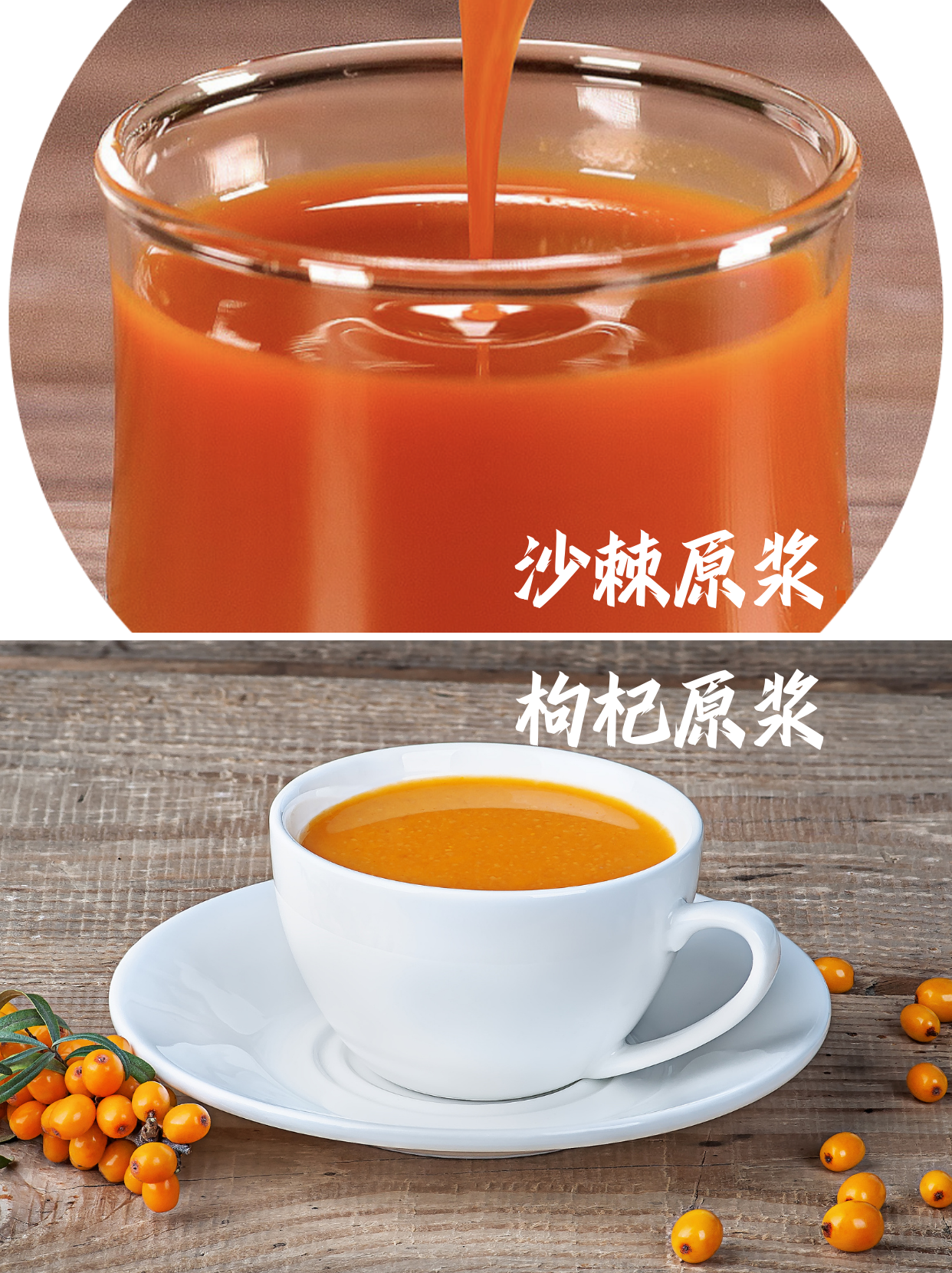 枸杞原浆VS沙棘原浆哪个好？亲身体验反馈来啦