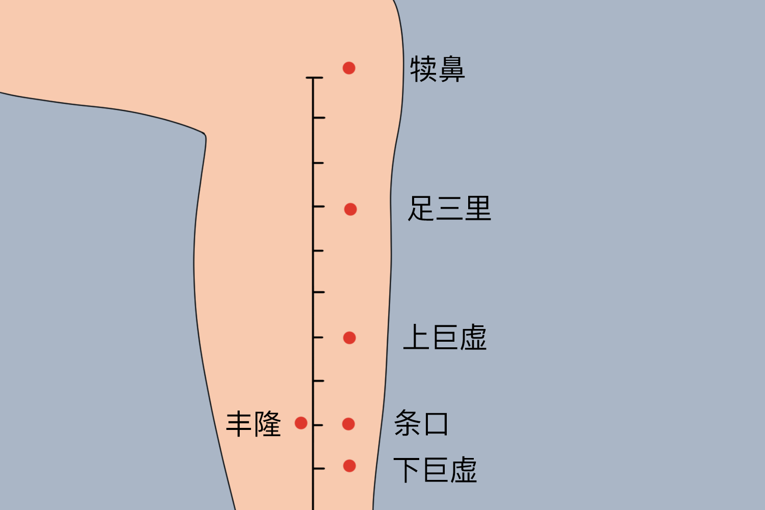 艾灸足三里位置图气滞证患者可有月经周期延后,量少或正常,色暗红或有