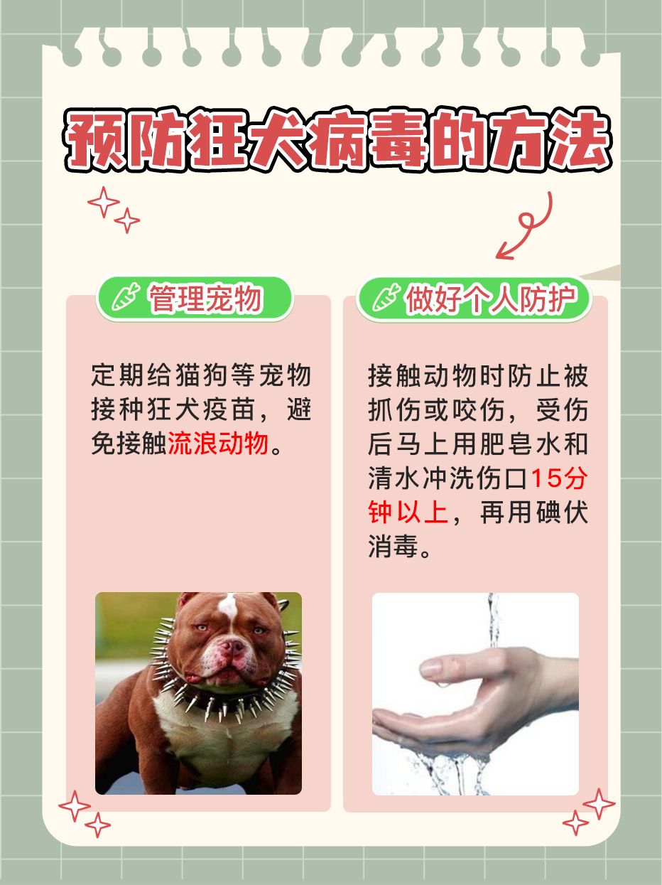 狂犬病毒存活揭晓：皮肤难持久