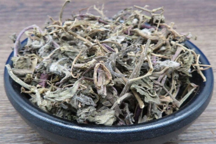 野生散血丹药材图 野生散血丹药材图