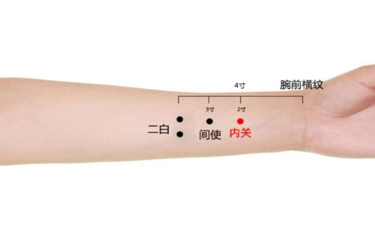 内关穴位置图