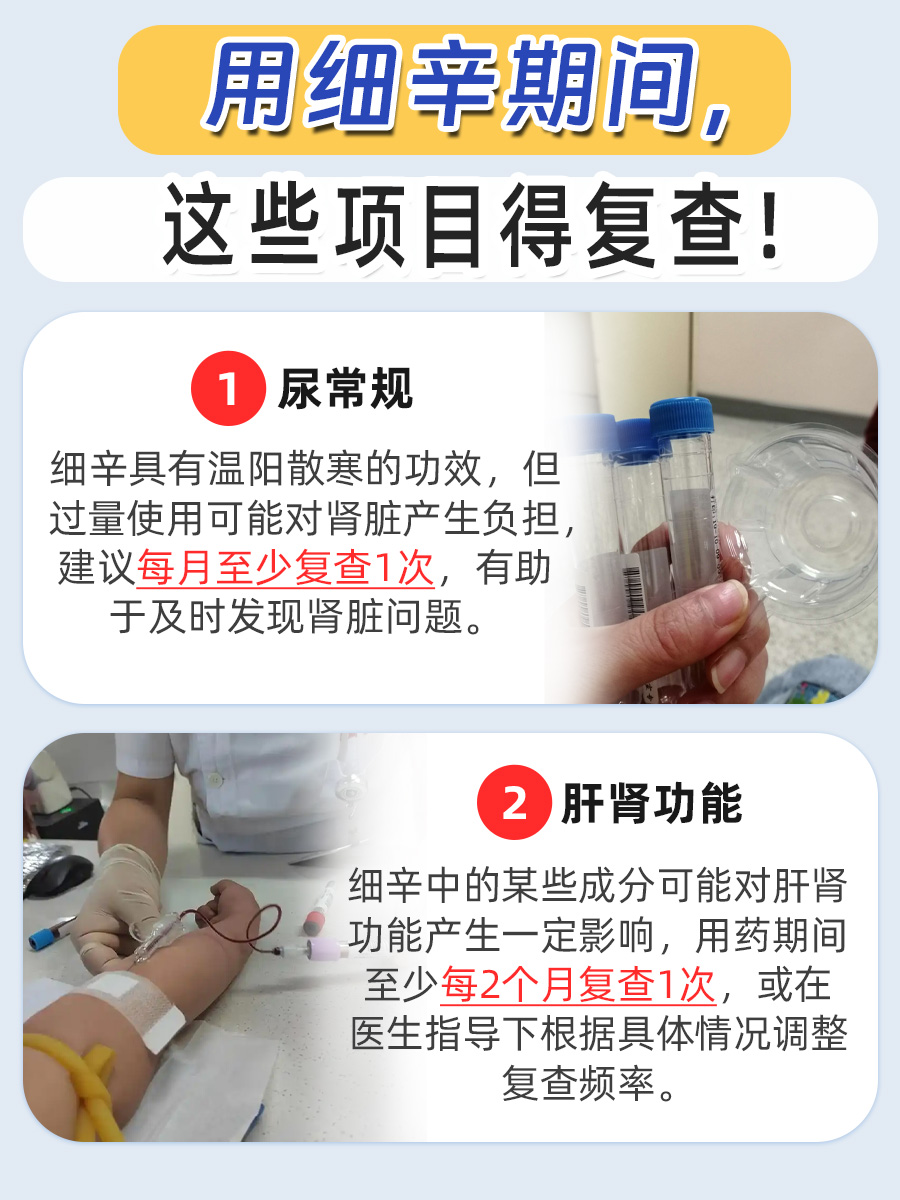 一文说清！中药调理喝细辛28天有无隐患？