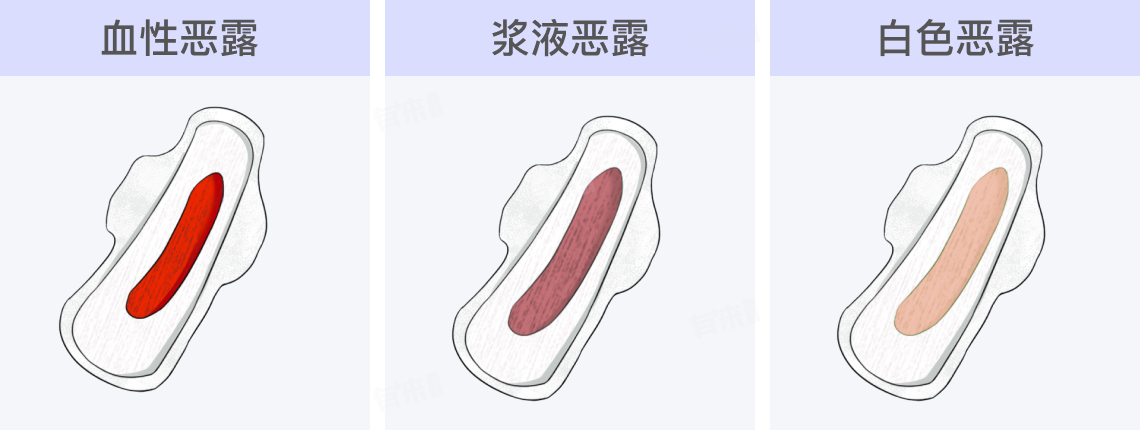 恶露图片