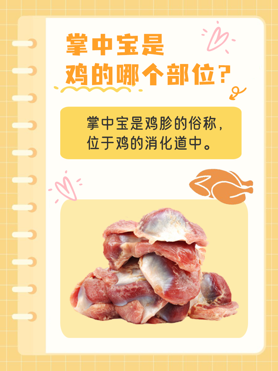 掌中宝是鸡的哪个部位？看完就明白了！