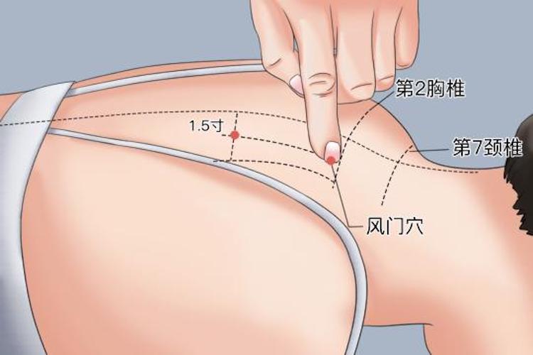 风门穴位置图