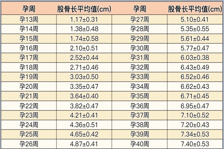 肱骨长股骨长与孕周对照表 肱骨长股骨长与孕周对照表