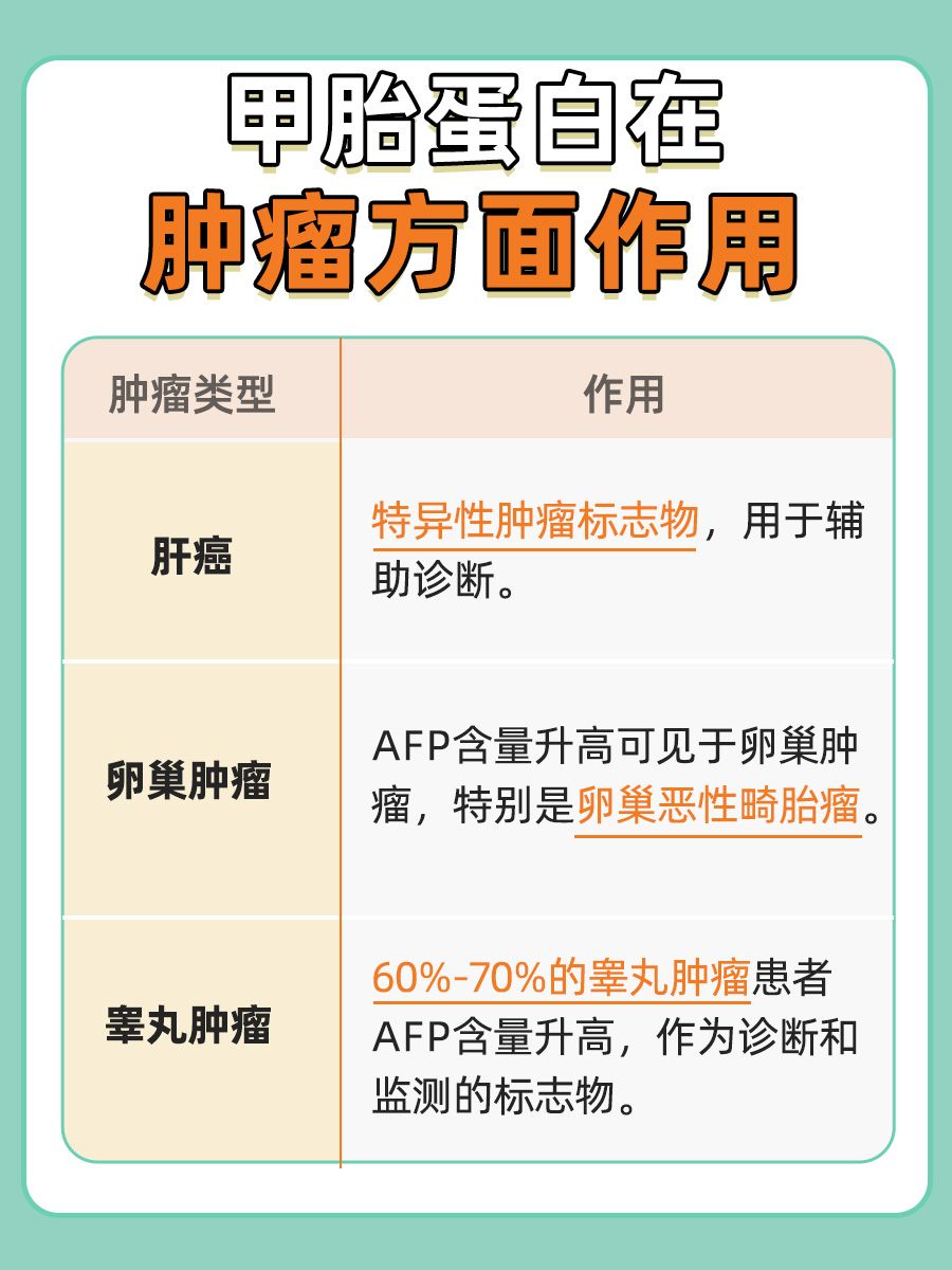 一文带你读懂什么是甲胎蛋白