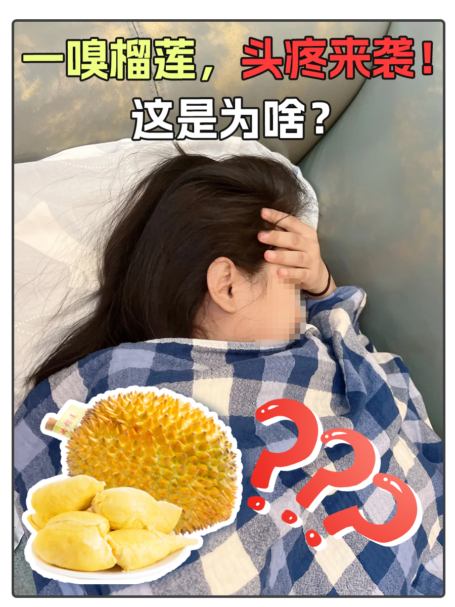 一嗅榴莲,头疼来袭!这是为啥?