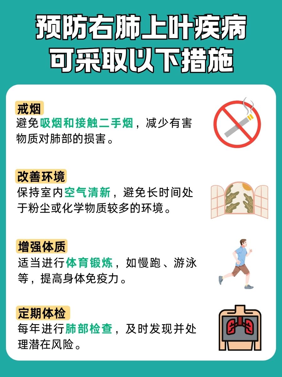 认识右肺上叶：一文解析