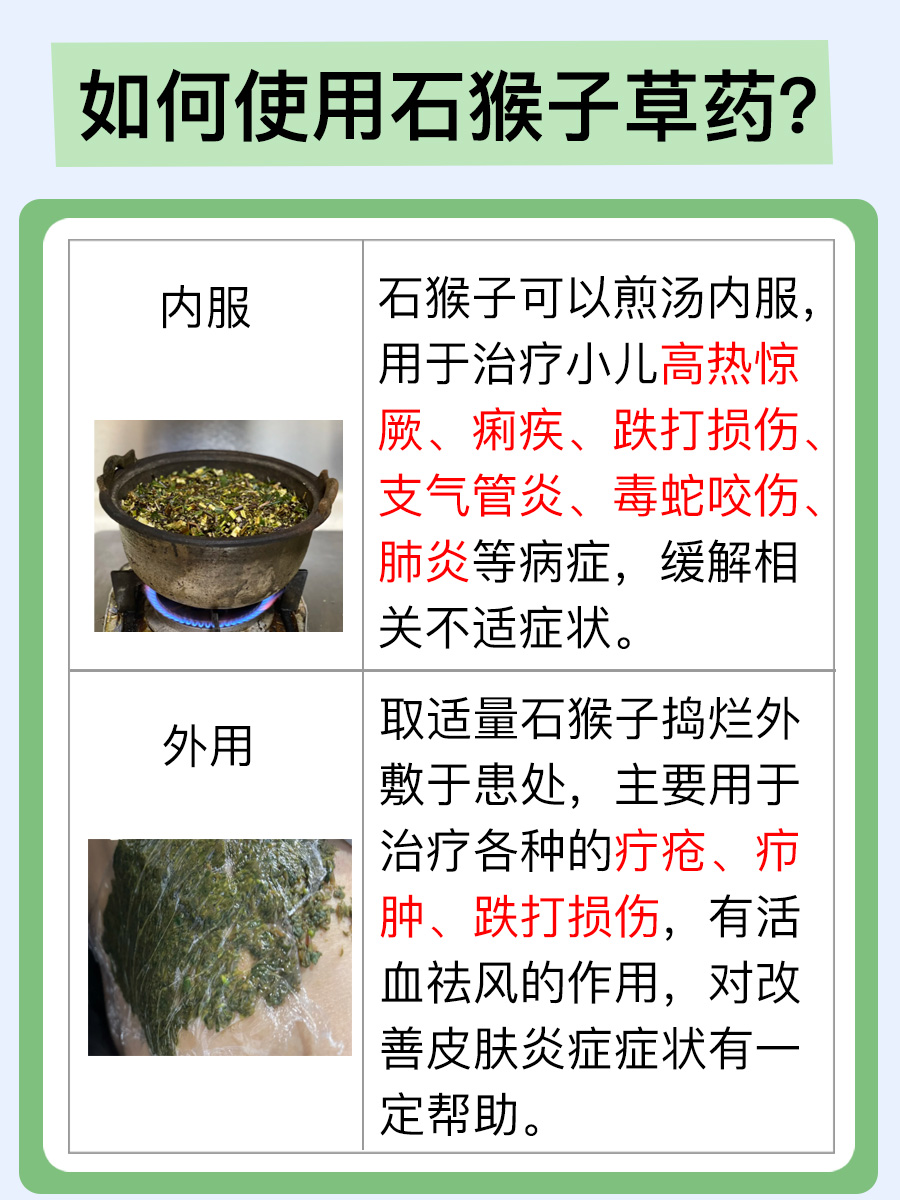 石猴子草药图片与功效