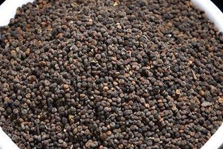 臭花菜药材性状图