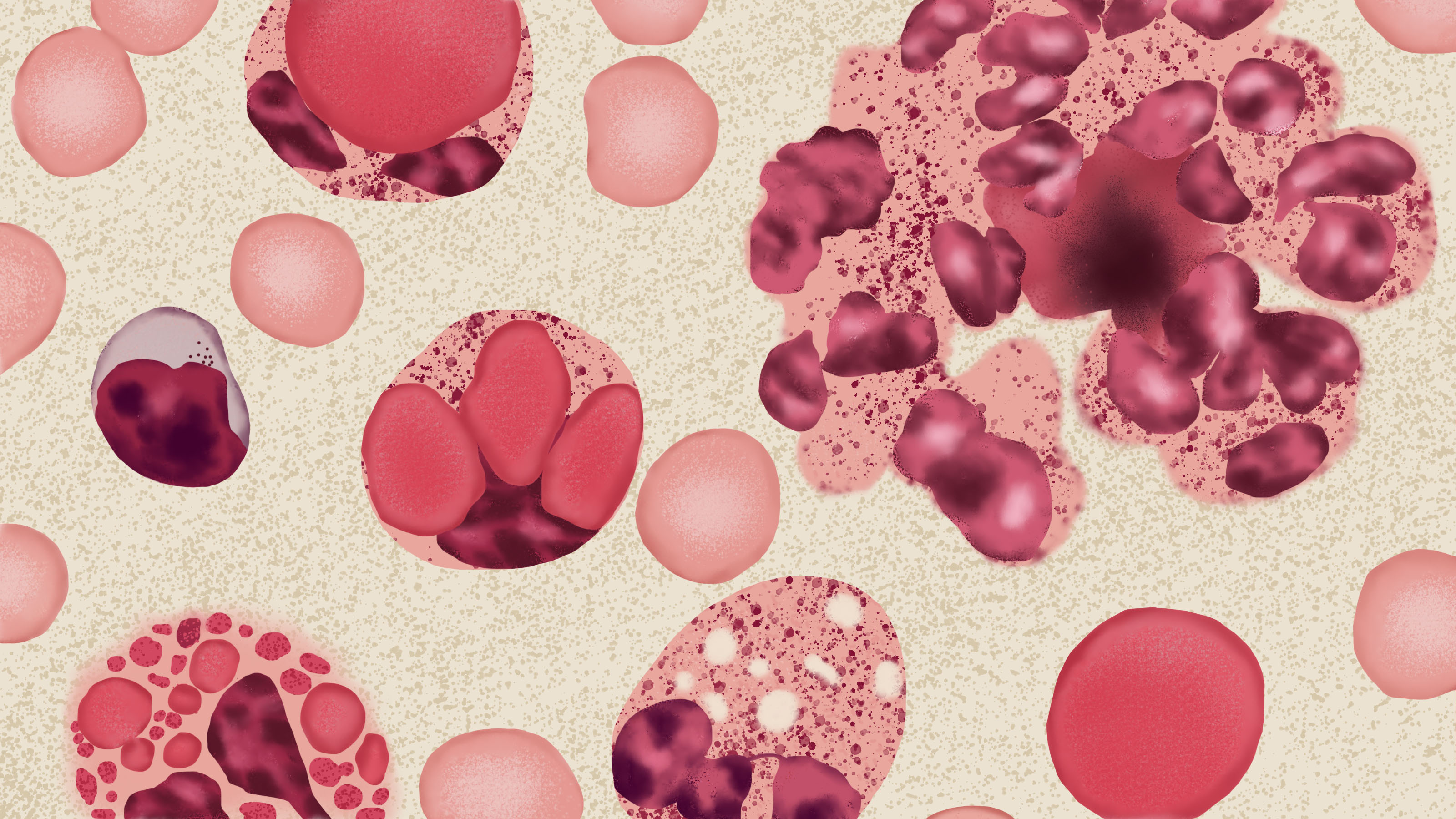 抗sm抗体阳性什么意思-有来医生